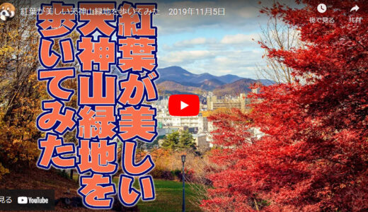 紅葉が美しい天神山緑地を歩いてみた